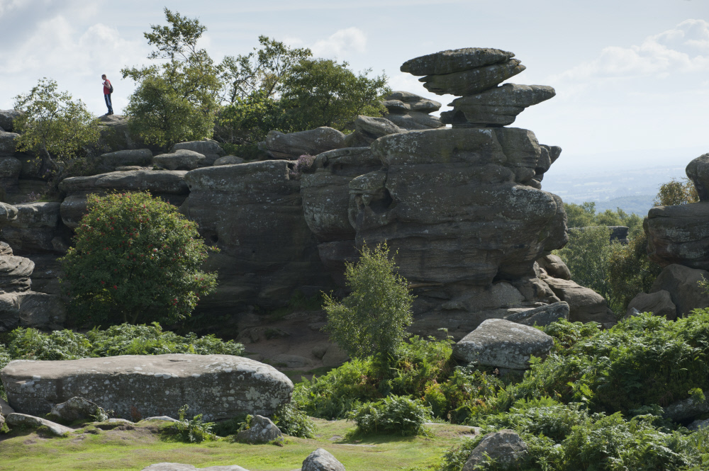 NT Brimham Rocks